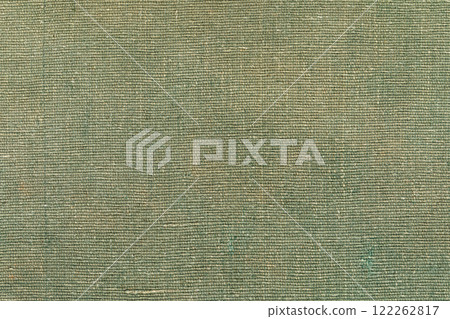 Green Textured Upholstery Fabric 122262817