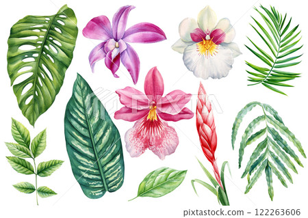Floral watercolor plants set, exotic tropical leaves orchid flower hand painted botanical illustrations isolated clipart Floral watercolor plants set, exotic tropical leaves orchid flower hand painted botanical illustrations isolated clipart 122263606