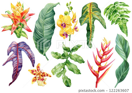 Flowers, palm leaves. Tropical floral watercolor illustrations, exotic foliage hand painted botanical clipart isolated 122263607