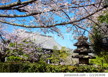 Seiryoji Temple surrounded by cherry blossoms in Sagano Seiryoji Temple surrounded by cherry blossoms in Sagano 122263696