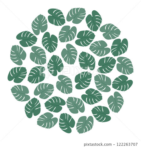 Abstract Monstera leaves Circular Backgrounds texture in monochrome green. Summer backdrop concept Abstract Monstera leaves Circular Backgrounds texture in monochrome green. Summer backdrop concept 122263707