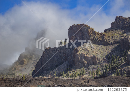 volcano Teide on Tenerife island forest and fog. Canary 122263875