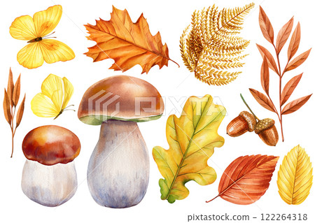 Mushrooms, butterfly, autumn leaves and acorns on isolated background. Forest clipart autumn elements painted watercolor 122264318