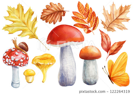 Autumn set. Mushrooms, leaves, insects isolated. Watercolor elements fly agaric, chanterelle, aspen mushroom oak leaves 122264319