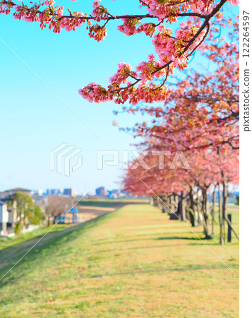 從千葉市江戶川櫻花岸看春天的藍天 從千葉市江戶川櫻花岸看春天的藍天 122264597