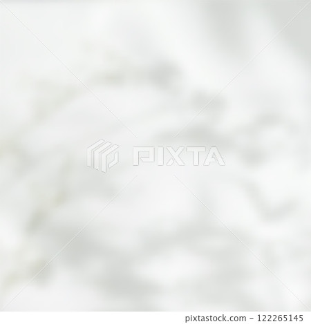 Botanical Shadow Overlay with Soft Light for Modern Branding, Wedding Invitations, and Minimalistic Design Projects. Vector illustration Botanical Shadow Overlay with Soft Light for Modern Branding, Wedding Invitations, and Minimalistic Design Projects. Vector illustration 122265145