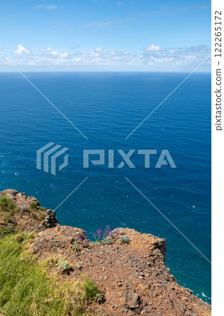 Cliffs and Atlantic ocean, Madeira, Portugal 122265172