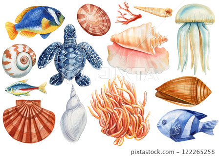 Colorful Tropical Fish, seashell, jellyfish watercolor Illustration. Hand-painted underwater art on isolated background Colorful Tropical Fish, seashell, jellyfish watercolor Illustration. Hand-painted underwater art on isolated background 122265258