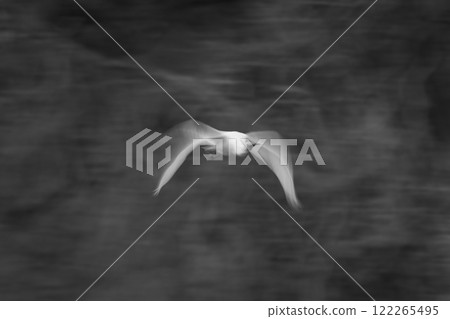 Mono slow pan of spoonbill passing trees 122265495
