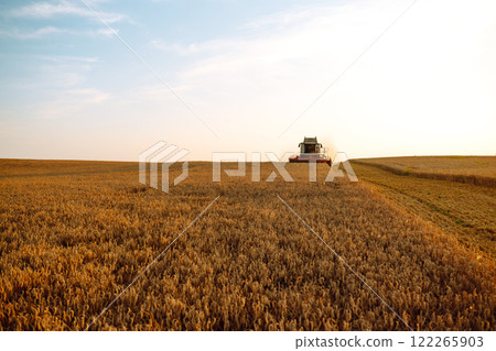 Combine harvester harvests grain in the field. Agriculture, gardening or ecology concept. 122265903