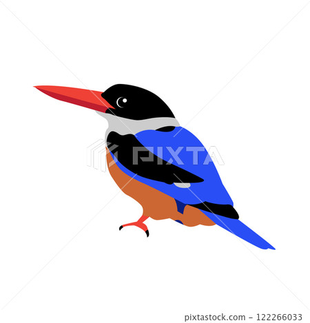 Belted kingfisher bird vector 122266033