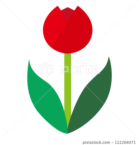 紅色鬱金香白色背景的簡單平面插圖 122266071