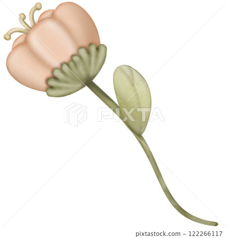 Flower cute pastel color, hand draw for decoration greeting card.  122266117