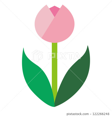 粉紅色鬱金香白色背景的簡單平面插圖 122266248