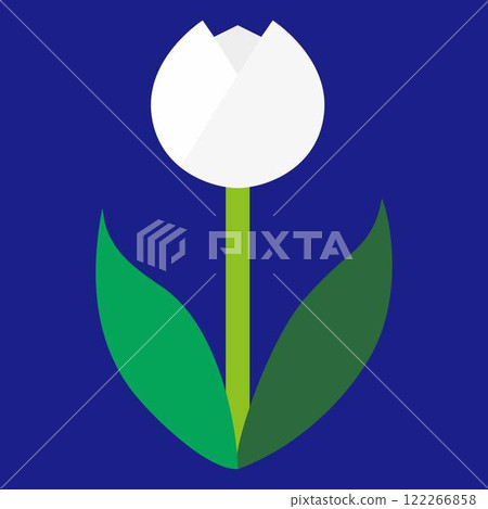 藍色背景上白色鬱金香的簡單平面插圖 藍色背景上白色鬱金香的簡單平面插圖 122266858