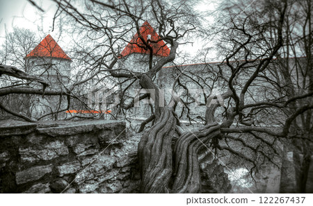 depressive gothic landscape of medieval castles of Tallinn. 122267437