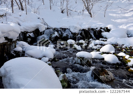 白雪覆蓋的京極吹出公園的動態泉水 白雪覆蓋的京極吹出公園的動態泉水 122267544