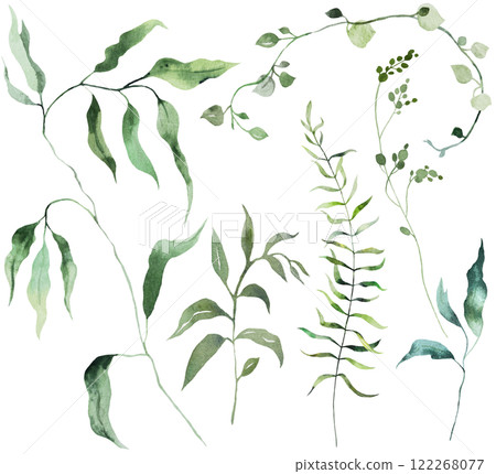 Watercolor twigs with  green leaves isolated illustration, botanical summer wedding element Watercolor twigs with  green leaves isolated illustration, botanical summer wedding element 122268077