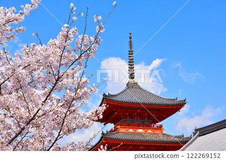 春天櫻花盛開的清水寺 122269152