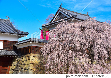 Spring Cherry Blossoms Ueda Castle North Tower 122269483