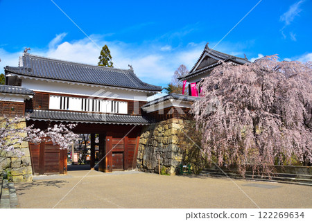 春天櫻花盛開的上田城北角樓 122269634