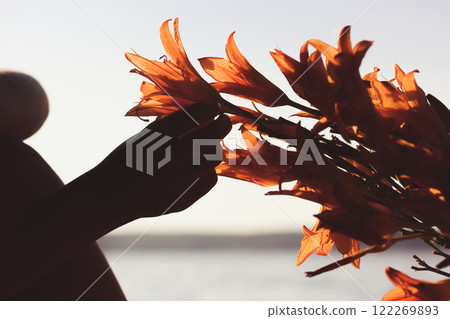 Orange lily buds in a woman's hand. Gardener plucks flowers in the garden. Florist chooses flowers to form a bouquet. Floristry, horticulture hobby. Orange lily buds in a woman's hand. Gardener plucks flowers in the garden. Florist chooses flowers to form a bouquet. Floristry, horticulture hobby. 122269893