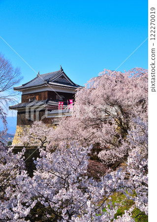 春天的櫻花 上田城南角樓 122270019