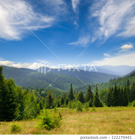 Picturesque mountain landscape with mountain ranges, coniferous forests and blue sky. 122270481