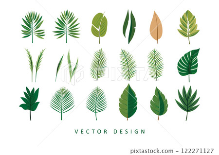 set of palm tree leaves vector design isolated illustration 122271127