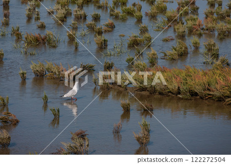 eastern frisia at the north sea in germany 122272504