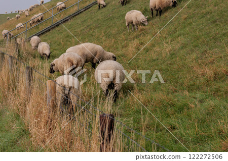 eastern frisia at the north sea in germany 122272506