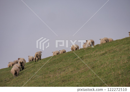 eastern frisia at the north sea in germany 122272510