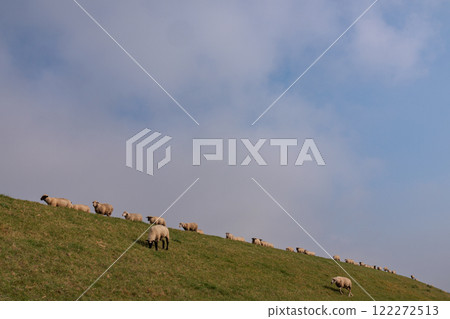 eastern frisia at the north sea in germany 122272513