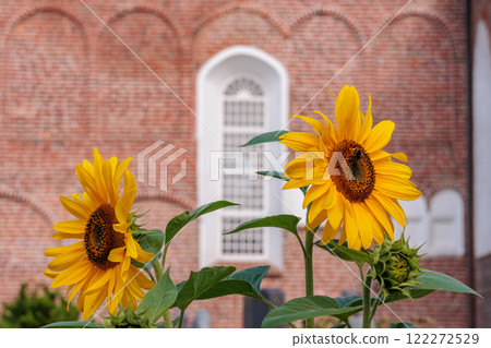 eastern frisia at the north sea in germany 122272529