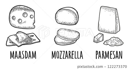 Pieces of cheese maasdam, mozzarella, parmesan. Vector vintage engraving 122273370