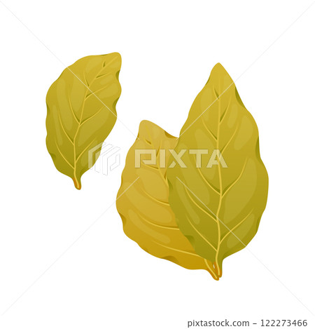 Dry bay leaf in flat design. Culinary spice, scented laurel foliage. Vector illustration isolated. 122273466
