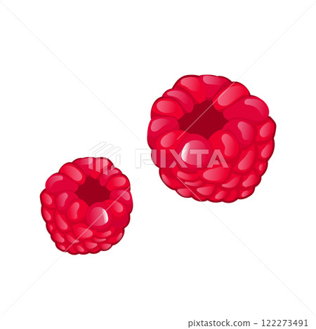 Red raspberry in flat design. Sweet summer two berries, juicy dessert. Vector illustration isolated. 122273491