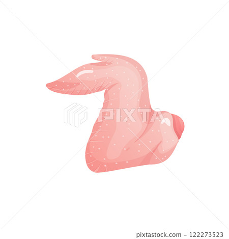 Raw chicken wing in flat design. Uncooked broiler poultry meat cutting. Vector illustration isolated. 122273523