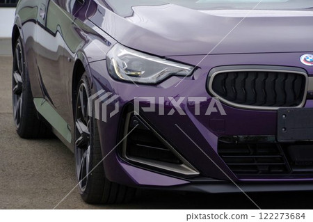 進口車形象BMW2型轎跑車前面罩 進口車形象BMW2型轎跑車前面罩 122273684