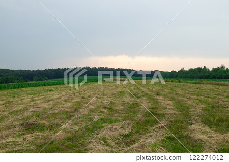 Cloudy landscape of the sky before the storm above country roads and fields 122274012