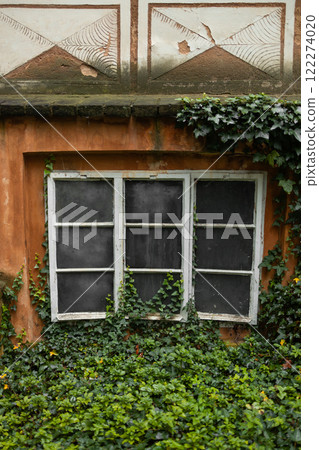 old window and wall covered with ivy in the old town of Prague, Czech Republic old window and wall covered with ivy in the old town of Prague, Czech Republic 122274020