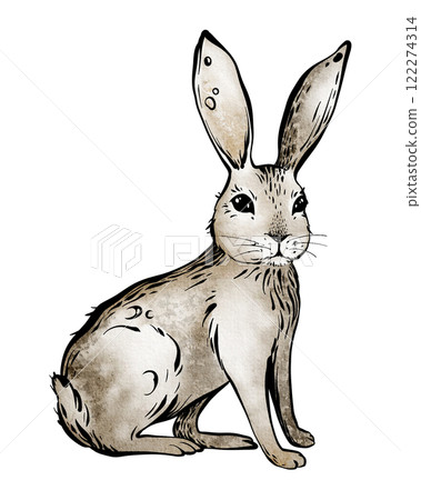 Hare illustration on a isolated background. Hand-drawn artwork of a cute rabbit black graphic line and watercolor. For greeting cards, invitations, and Easter-themed designs. For nursery decorations. 122274314