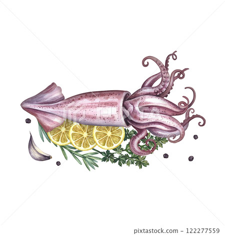 Squid with lemon and herbs. Handmade watercolor illustration. A color image of a seafood dish. Separate from the background. Perfect for menus, recipe books, packages, labels, invitations, and more. Squid with lemon and herbs. Handmade watercolor illustration. A color image of a seafood dish. Separate from the background. Perfect for menus, recipe books, packages, labels, invitations, and more. 122277559