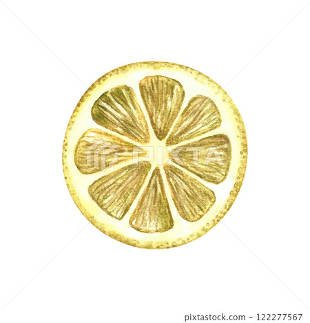 A slice of lemon. The illustration is done in watercolor by hand. A color image of a citrus fruit is highlighted on a white background. Perfect for menus, recipe books, packages, labels, and more. 122277567