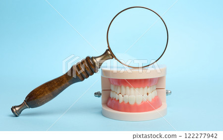 Plastic human jaw with white teeth, magnifying glass, oral cavity prevention 122277942