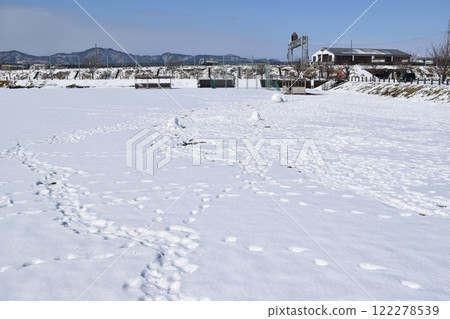 在新的雪的腳印 122278539