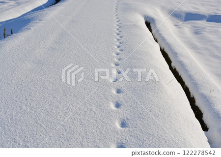 在新的雪的腳印 在新的雪的腳印 122278542