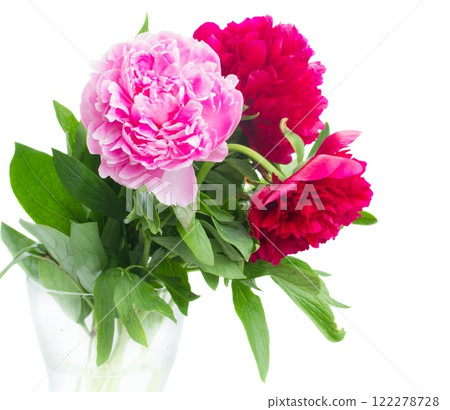pink peonies 122278728