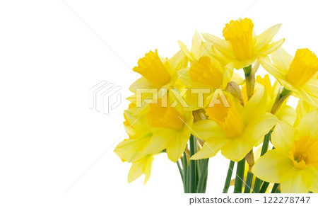 spring flowers in vase 122278747