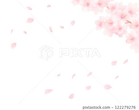 盛開的櫻花和花瓣背景_可愛的春天花朵水彩插畫 122279276